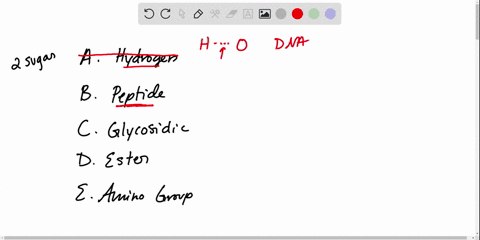 a-hydrogen-bond-b-peptide-bond-c-glycosidic-bond-d-ester-bond-e-amino-group-bond-linking-two-monosac