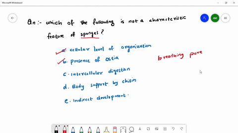 d-which-of-the-following-is-not-a-characteristic-feature-of-sponges-a-cellular-level-of-organization