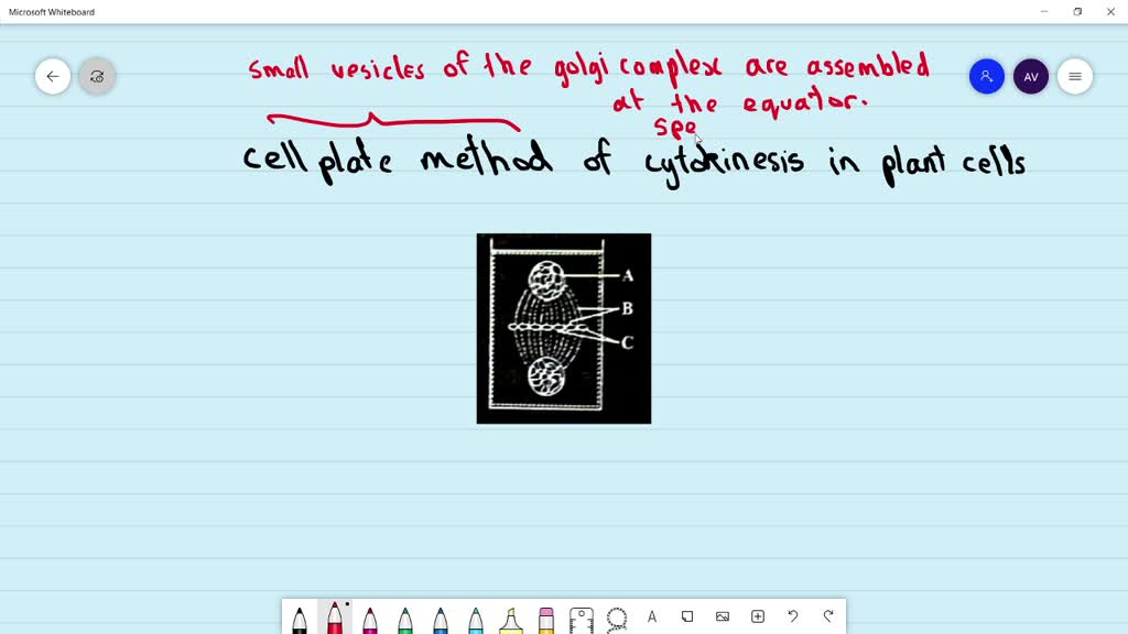 SOLVEDThe given diagram depicts cell plate method of ogser in plant