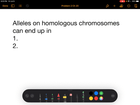 the-alleles-of-a-gene-on-homologous-chromosomes-end-up-in-separate-a-body-cells-____-b-gametes-c-non