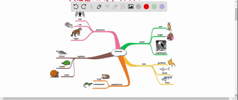 which-of-the-following-statements-about-animal-migration-is-true-2-piloting-animals-use-the-position