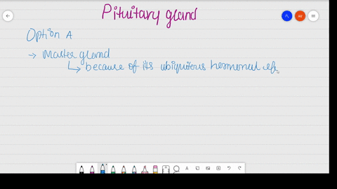 which-is-the-most-influential-of-the-endocrine-glands-a-pituitary-gland-b-adrenal-glands-c-dendrites