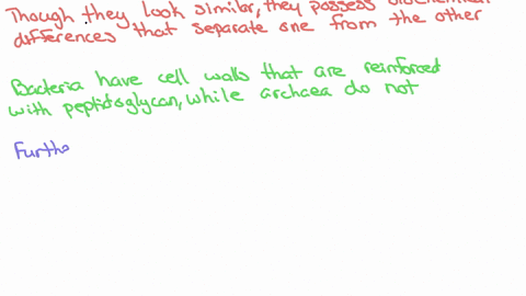 how-do-archaea-and-bacteria-differ-how-do-prokaryotes-and-viruses-differ