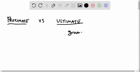 what-do-ultimate-explanations-of-behavior-focus-on