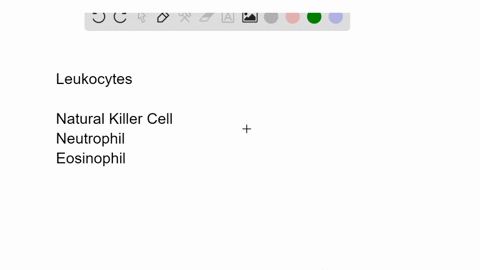 match-each-cellular-defense-with-the-infection-it-would-most-likely-target-____-natural-killer-cell-