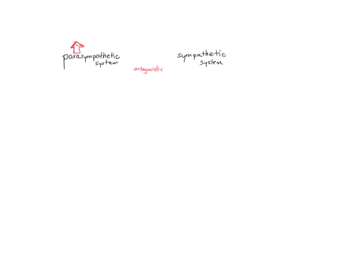 which-would-occur-if-the-parasympathetic-system-were-stimulated-a-increase-in-blood-sugar-b-increase