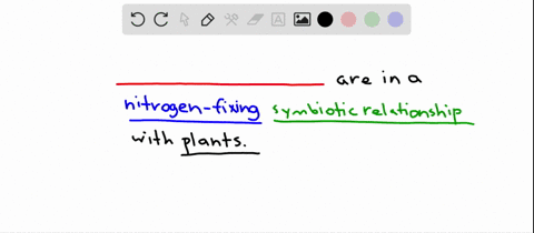 what-kinds-of-organisms-occur-in-nitrogen-fixing-symbioses-with-plants-a-cyanobacteria-b-actinobacte