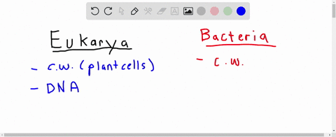 one-property-that-distinguishes-cells-in-domain-eukarya-from-those-in-domain-bacteria-is-the-presenc