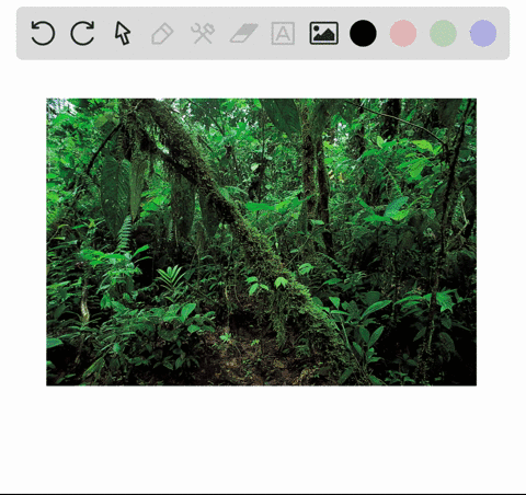 which-biome-experiences-the-highest-annual-rainfall-a-tropical-rainforest-b-tropical-savanna-c-chapa