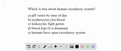 which-is-true-about-the-human-circulatory-system-a-the-ph-varies-throughout-the-day-and-night-b-eryt
