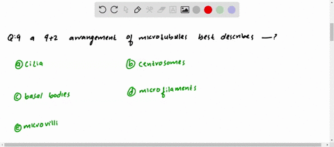 a-92-arrangement-of-microtubules-best-describes-a-cilia-b-centrosomes-c-basal-bodies-d-microfilament
