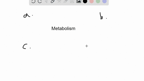 metabolism-can-be-defined-as-the-___________-a-adjustment-by-an-organism-to-external-or-internal-cha