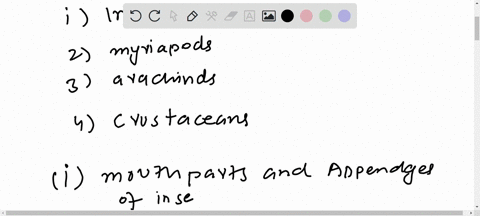 into-what-two-groups-are-arthropods-traditionally-divided-describe-each-group-in-terms-of-its-mouthp