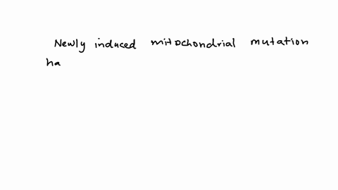 suppose-a-new-mutation-arises-in-a-mitochondrial-genome-explain-what-would-have-to-happen-in-order-f