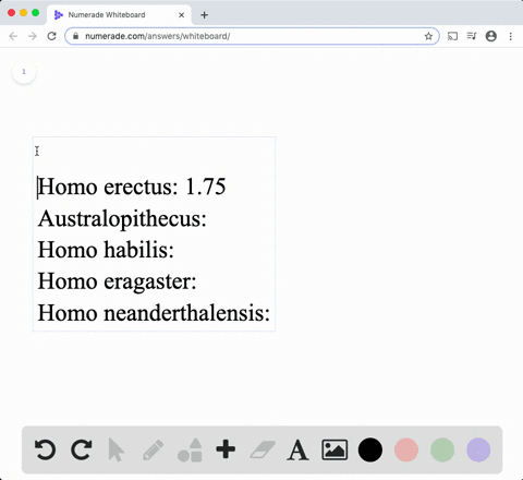 which-of-the-following-correctly-lists-possible-ancestors-of-humans-from-the-oldest-to-the-most-re-2