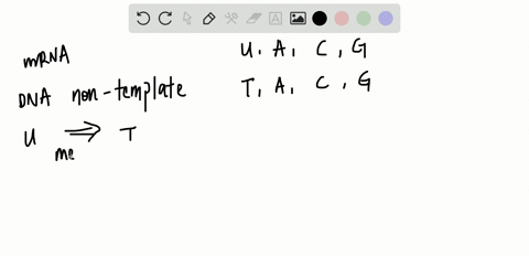 if-mrna-is-complementary-to-the-dna-template-strand-and-the-dna-template-stand-is-complementary-to-t
