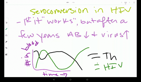 describe-how-seroconversion-works-in-hiv-disease