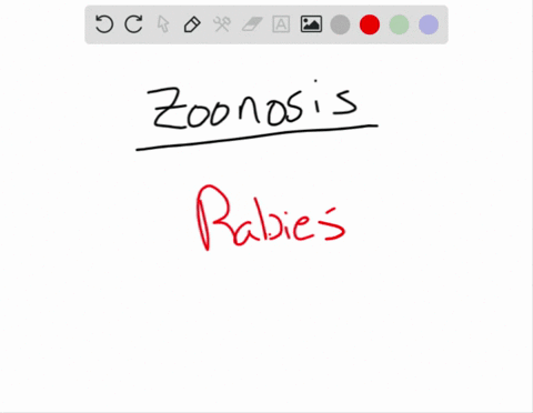 which-of-the-following-diseases-is-a-zoonosis-a-cryptococcal-meningitis-b-rabies-c-tetanus-d-tubercu