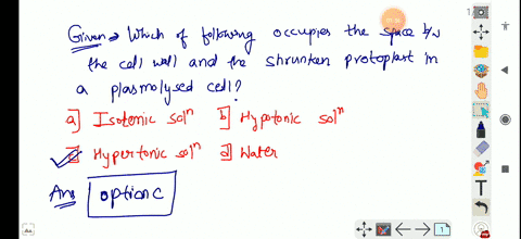 which-of-the-following-occupies-the-space-between-the-cell-wall-and-the-shrunken-protoplast-in-a-pla