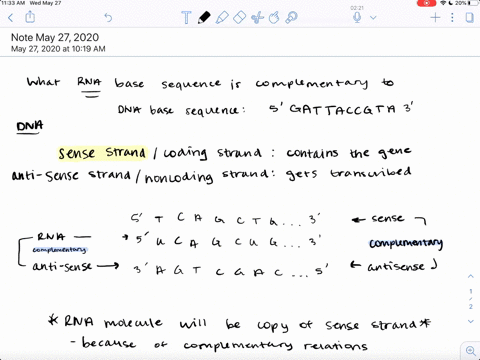 what-rna-base-sequence-is-complementary-to-the-following-dna-base-sequence-5-gattaccgta-3