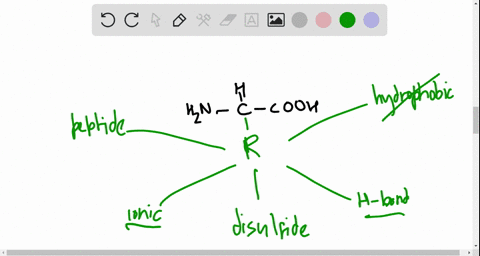 which-of-the-following-associations-between-r-groups-are-the-strongest-a-hydrophobic-interactions--5