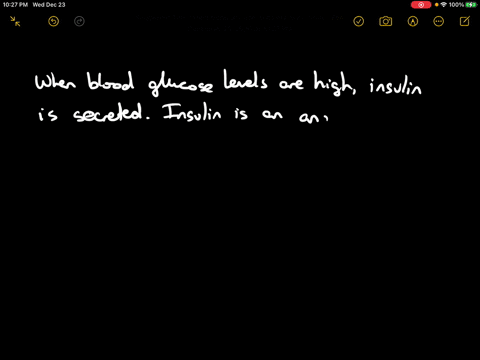 between-your-evening-meal-and-breakfast-your-blood-glucose-drops-and-your-liver-becomes-a-net-produc
