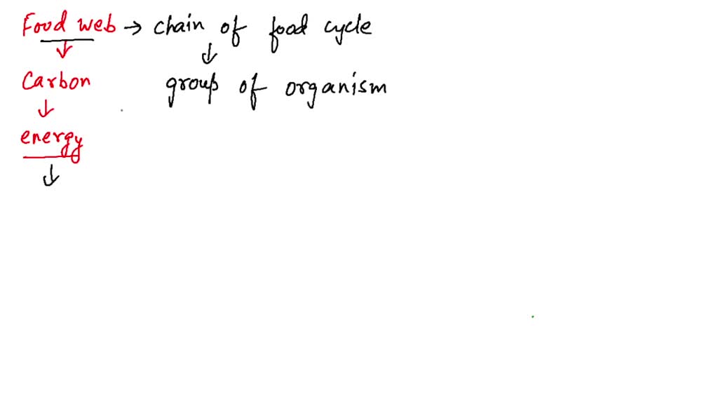 solved-how-does-a-food-web-that-diagrams-the-movement-of-carbon-through