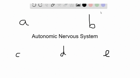 which-of-the-following-is-correct-regarding-the-autonomic-nervous-system-a-it-uses-both-cranial-an-2