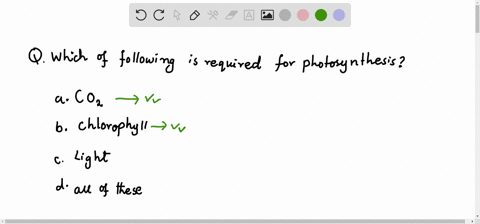 which-of-the-following-is-required-for-photosynthesis-a-mathrmco-b-chlorophyll-c-light-d-all-of-thes