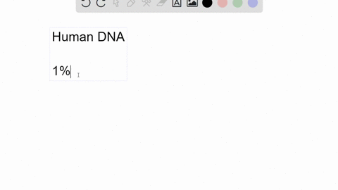 a-what-percentage-of-human-dna-codes-for-proteins-b-what-is-the-function-of-the-rest-of-the-dna-3