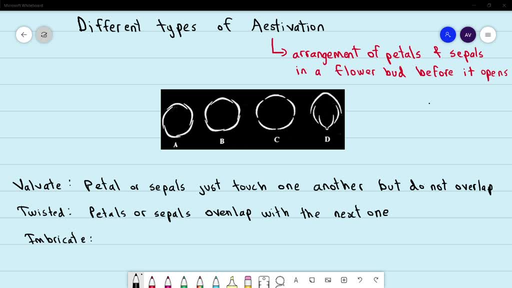 SOLVEDIdentify the different types of aestivation (A, B, C and D) and