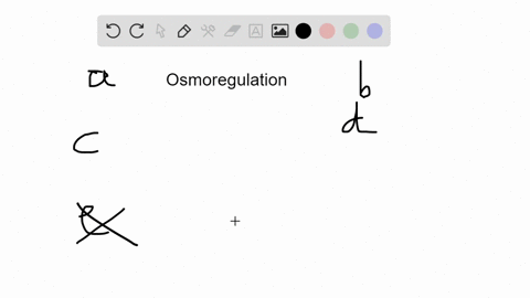 which-of-the-following-statements-about-osmoregulation-is-true-a-in-freshwater-invertebrates-salts-2