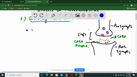 how-does-neurotransmitter-binding-to-receptors-on-a-postsynaptic-cell-cause-inhibition-or-excitation