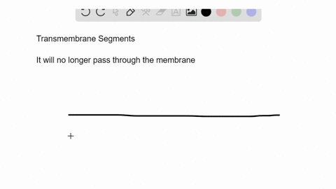 examine-the-multipass-transmembrane-protein-shown-in-figure-q-12-3-what-would-you-predict-would-be-t