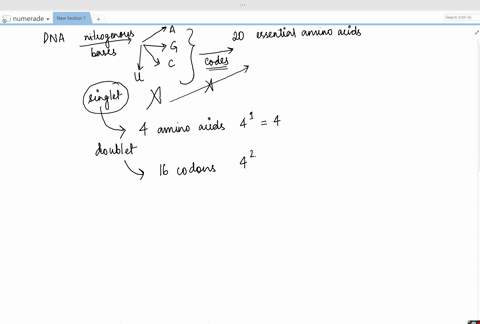 a-why-is-the-genetic-code-a-triplet-code-instead-of-a-singlet-or-doublet-code-b-how-many-different-a