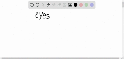forward-looking-eyes-are-characteristic-of-a-eukaryotes-b-mammals-c-primates-d-animals