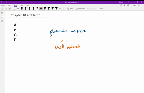 which-of-the-following-would-most-likely-be-filtered-through-the-glomerulus-into-bowmans-space-a-e-2