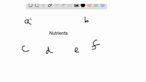choose-the-class-of-nutrient-from-the-key-that-matches-the-description-each-answer-may-be-used-mor-5