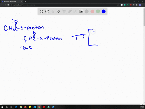 fatty-acids-are-synthesized-by-a-multistep-route-that-starts-with-acetate-the-first-step-is-a-reacti