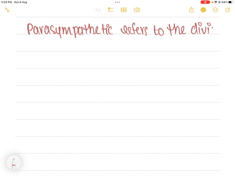 parasympathetic