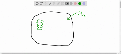 what-are-the-roles-of-atp-and-nadph-in-photosynthesis-a-atp-and-nadph-are-forms-of-chemical-energy-p