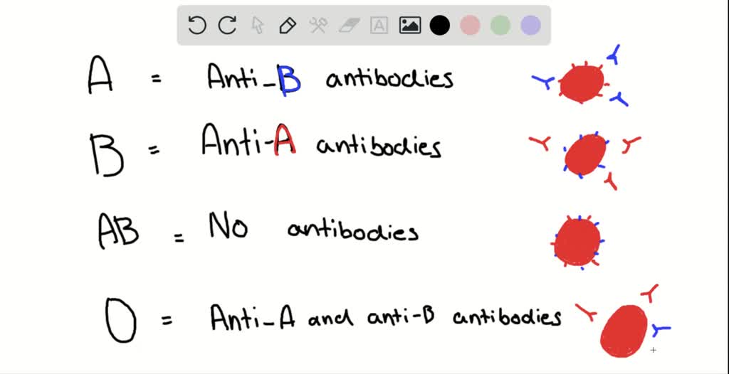 blood-type-frequency-chart-pdf-template