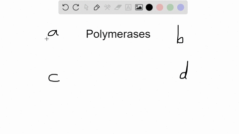 rna-polymerase-is-similar-to-dna-polymerase-in-that-a-both-enzymes-require-a-primer-b-both-enzymes-m