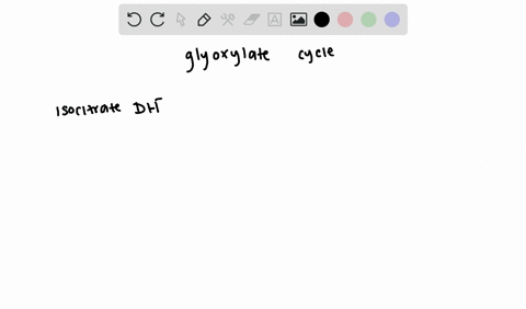 which-enzymes-of-the-citric-acid-cycle-are-missing-from-the-glyoxylate-cycle-2