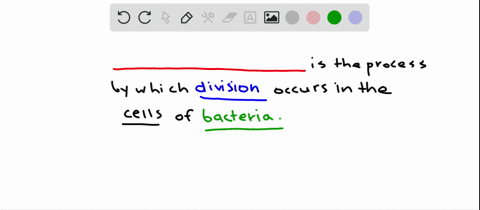 bacterial-cells-divide-by-a-process-known-as-a-mitosis-b-cytokincsis-c-meiosis-d-binary-fission-e-gl