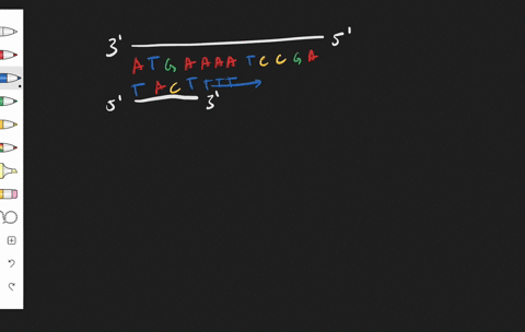 the-phrase-5-to-3-refers-to-the-______-a-timing-of-dna-replication-b-directionality-of-dna-synthesis