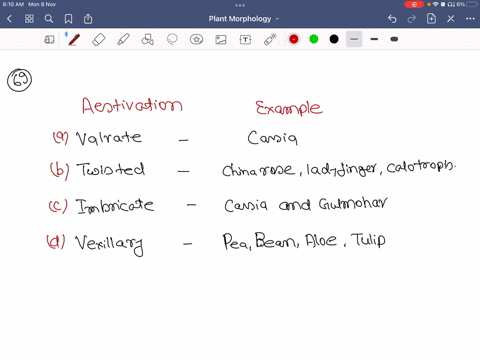 select-the-correct-matching-a-valvate-cassia-beginarraylltext-b-twisted-text-china-rose-ladyfinger-c