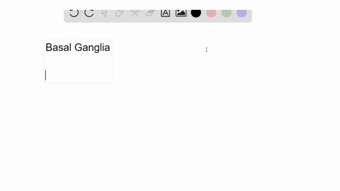 which-aspect-of-movement-do-the-basal-ganglia-control-2