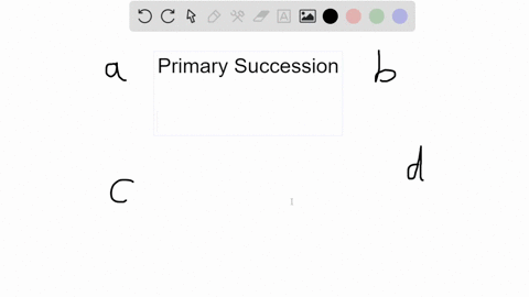 all-of-the-following-are-examples-of-primary-succession-except-a-land-that-has-newly-formed-as-a-res