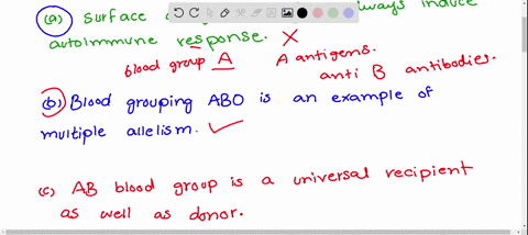 select-the-correct-statement-from-the-following-a-surface-antigen-on-rbc-always-induce-autoimmune-re